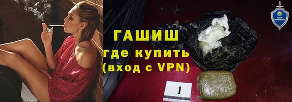 прущие грибы Магадан