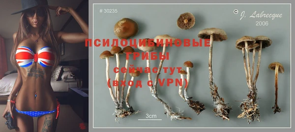 спайс Магас