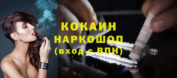 прущие грибы Магадан