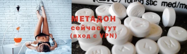 прущие грибы Магадан