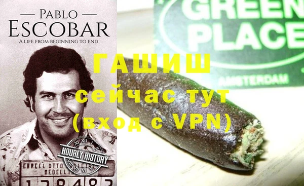 прущие грибы Магадан