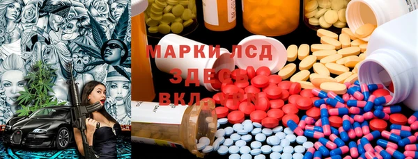 прущие грибы Магадан