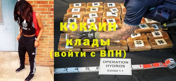 прущие грибы Магадан