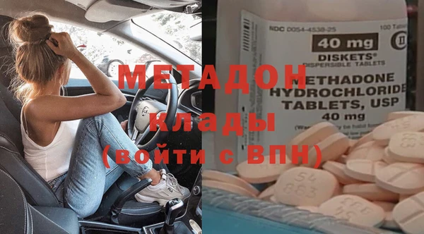 прущие грибы Магадан