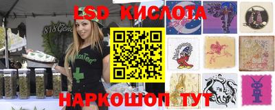 мдпв Гусев