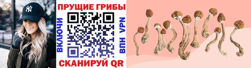 гидра   купить наркотики цена  Нягань  Галлюциногенные грибы Psilocybe 
