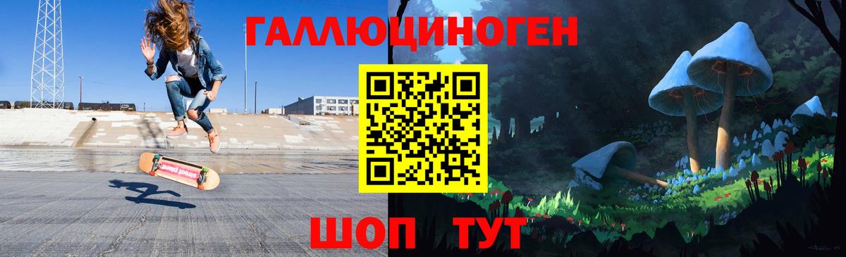 Галлюциногенные грибы Psilocybe Нягань